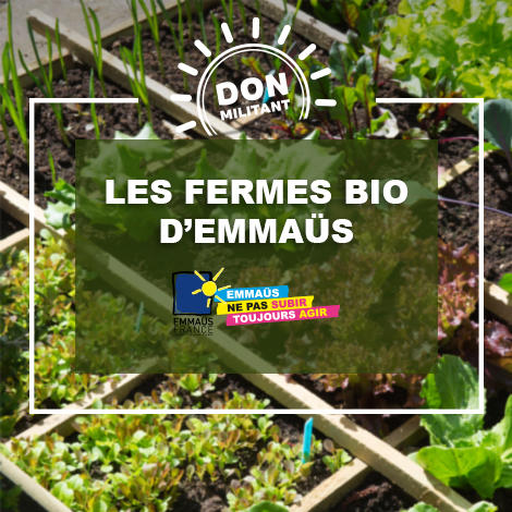 Les fermes bio d’Emmaüs